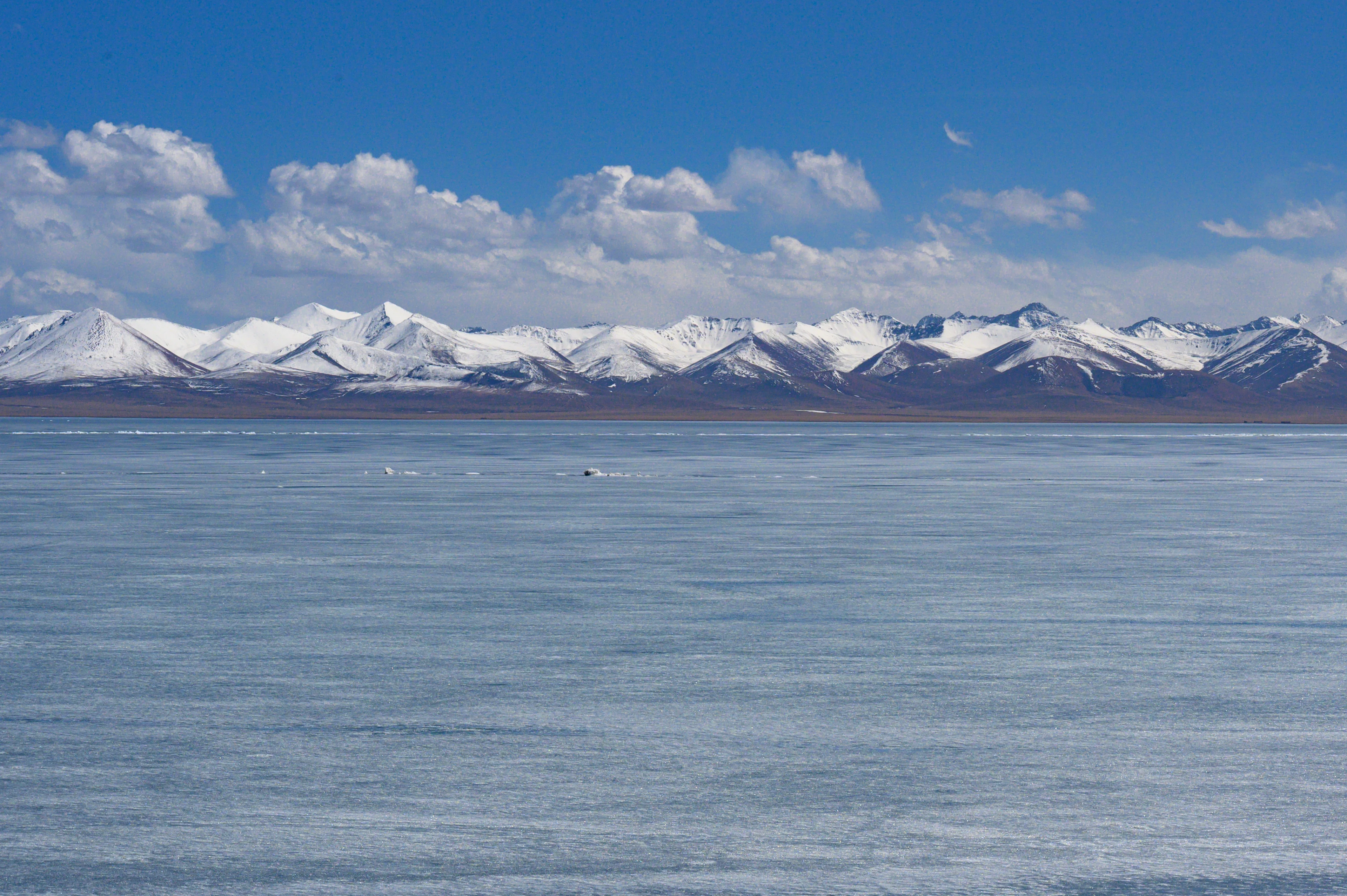 DSC_0861.webp
